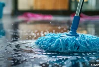 Why Regular Home Cleaning Keeps Your House Sparkling