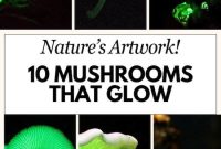 10 Bioluminescent Mushrooms That Glow at Night