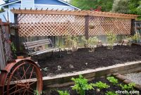 How to Build a Garden Trellis: Step-by-Step Guide