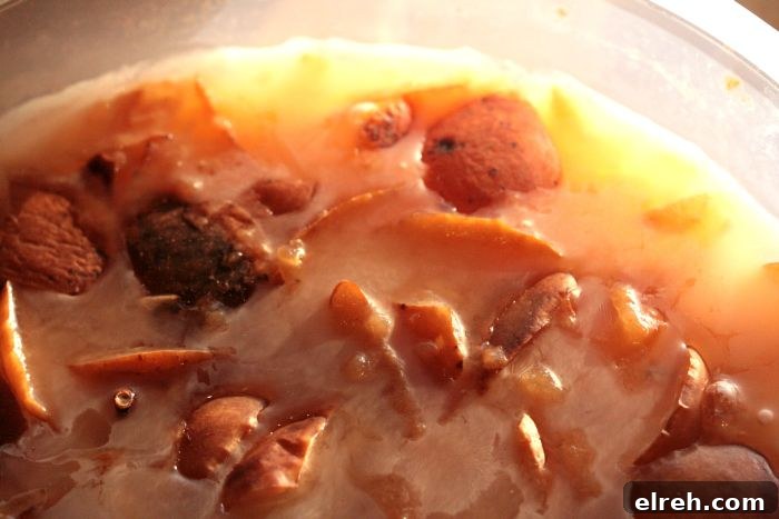 Apples fermenting