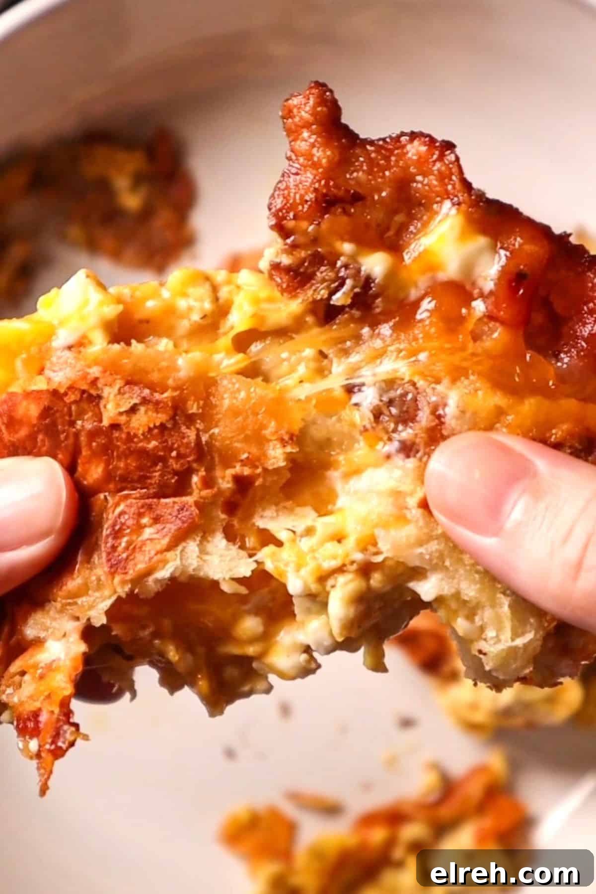 Bacon and Egg Grilled Cheese Sandwich 3 grilled cheese with bacon and egg