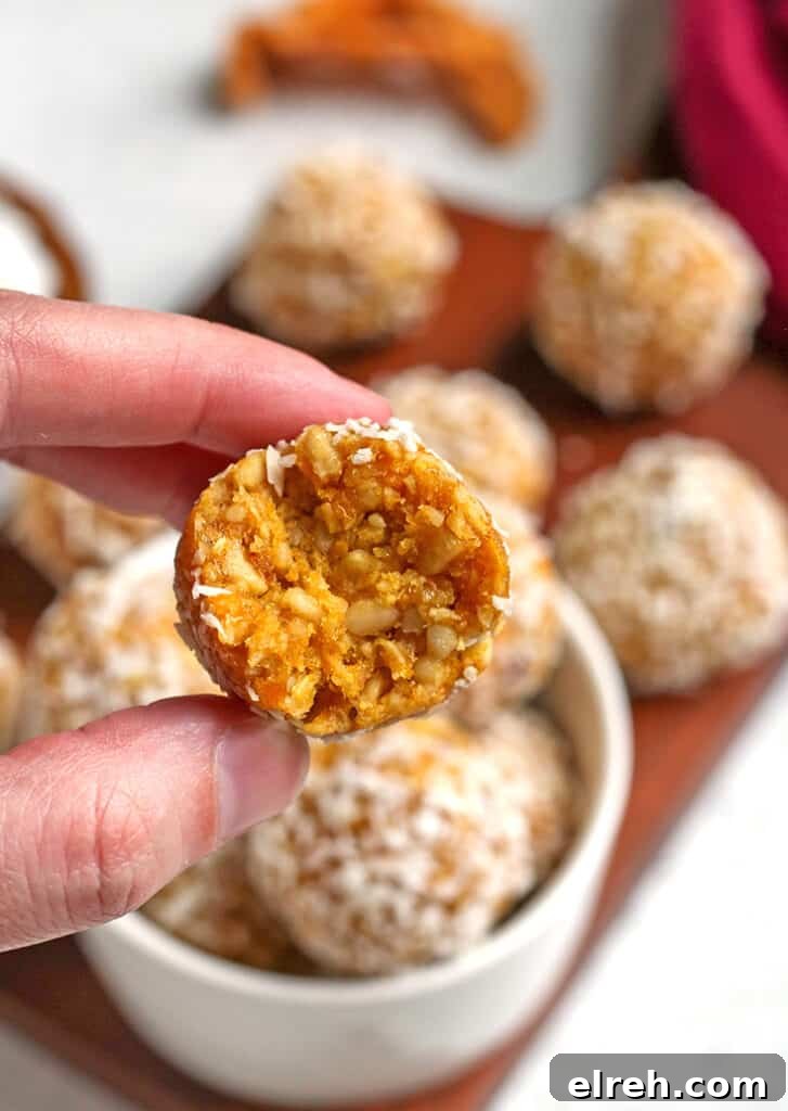 hand holding a paleo vegan mango ball