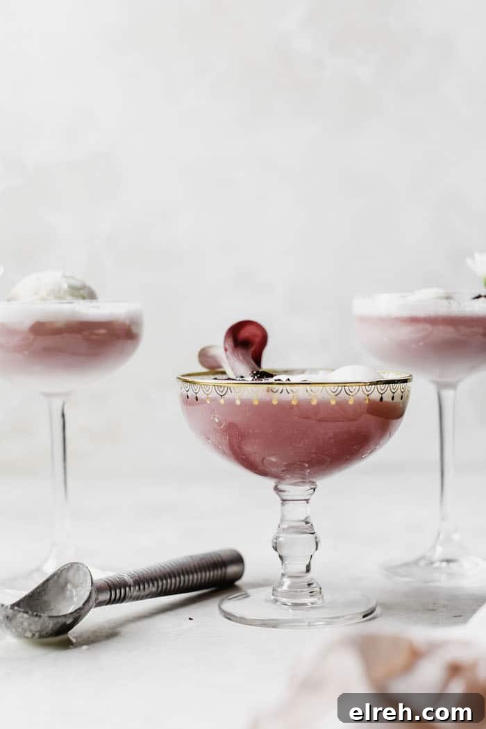 Sparkling Hibiscus Ice Cream Float Recipe 2 Hibiscus Ice Cream Float | thealmondeater.com