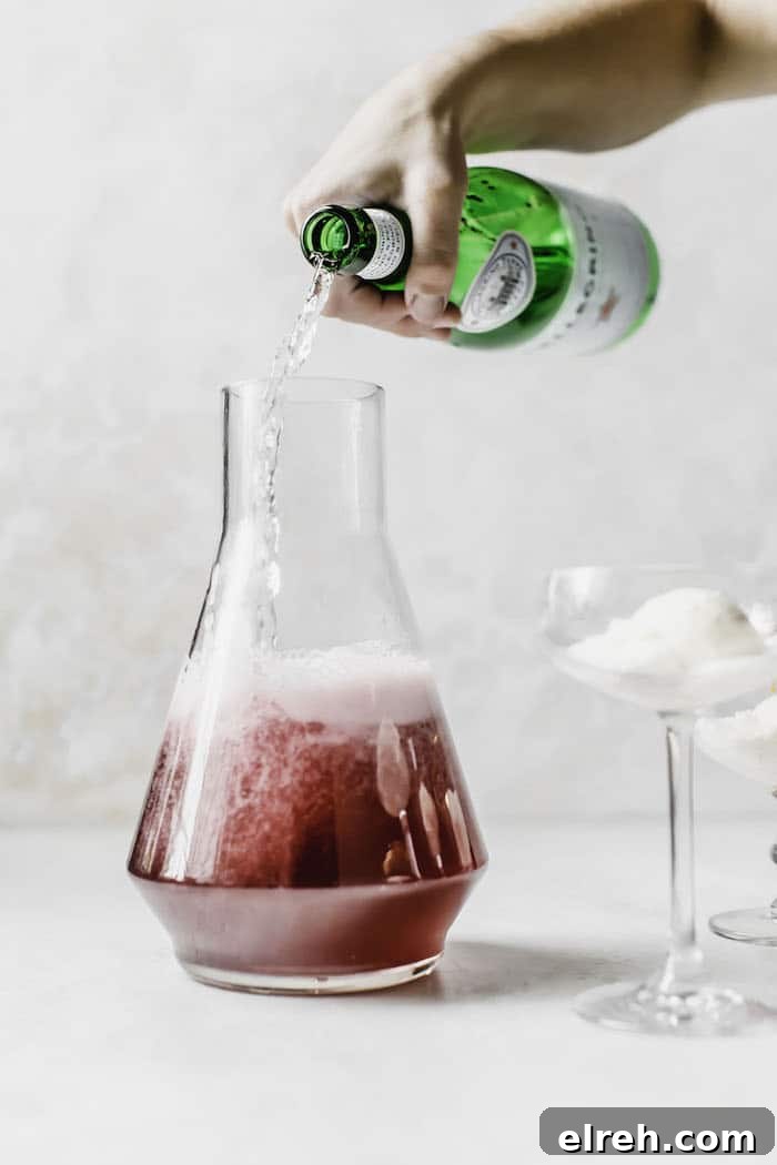 Sparkling Hibiscus Ice Cream Float Recipe 3 Hibiscus Ice Cream Float | thealmondeater.com
