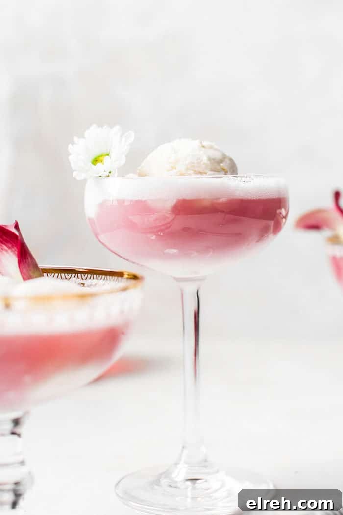 Sparkling Hibiscus Ice Cream Float Recipe 5 Hibiscus Ice Cream Float | thealmondeater.com