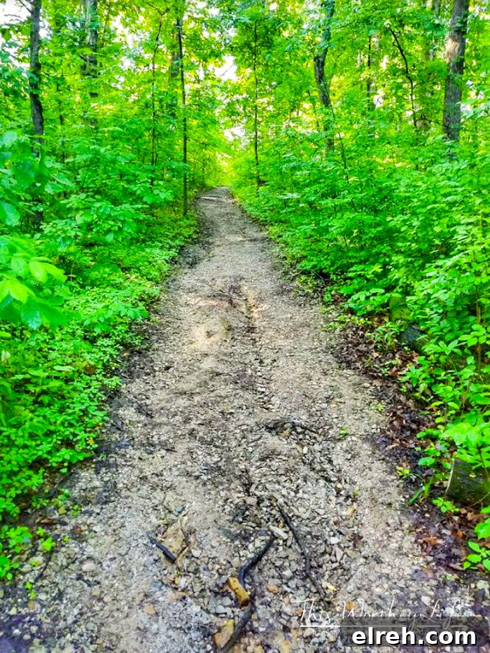 The Ultimate Summer Bucket List For Dads