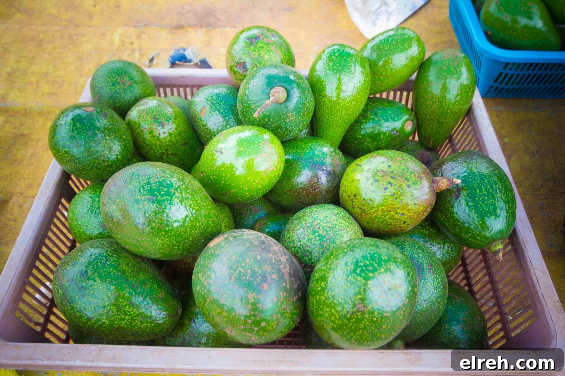 a basket of green avocados