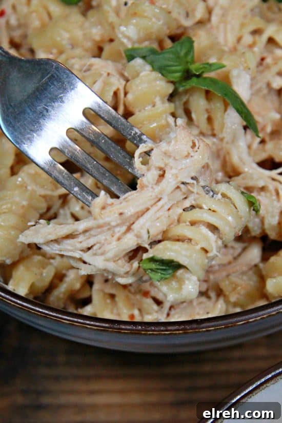 A bite of fall-apart, tender chicken with rotini coated in a tangy sauce from the crock pot.