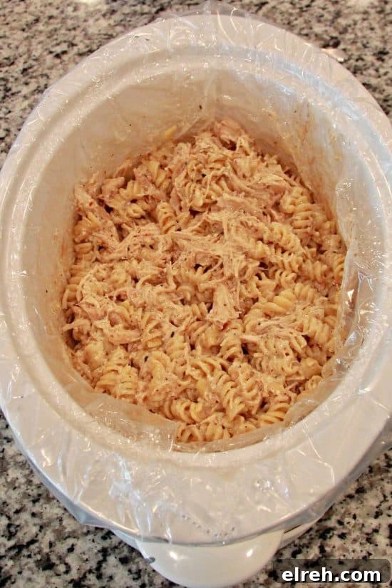 Tender shredded chicken breast with rotini in a tangy, rich sauce.