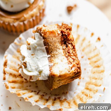 Apple Crumble Cheesecake with Cinnamon Streusel Recipe 24 Closeup of a mini cheesecake on its side with a bite removed.