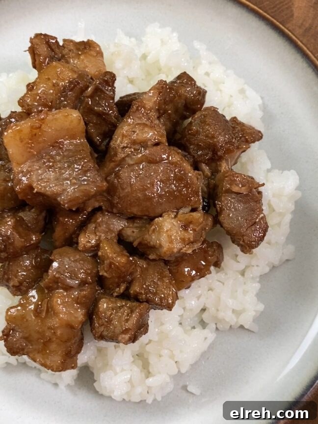 plated pork adobo over rice