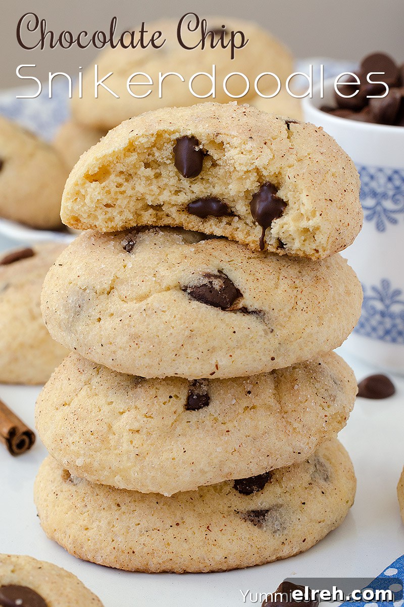 Chocolate Chip Snickerdoodle Cookie Recipe 2 Chocolate Chip Snikerdoodles