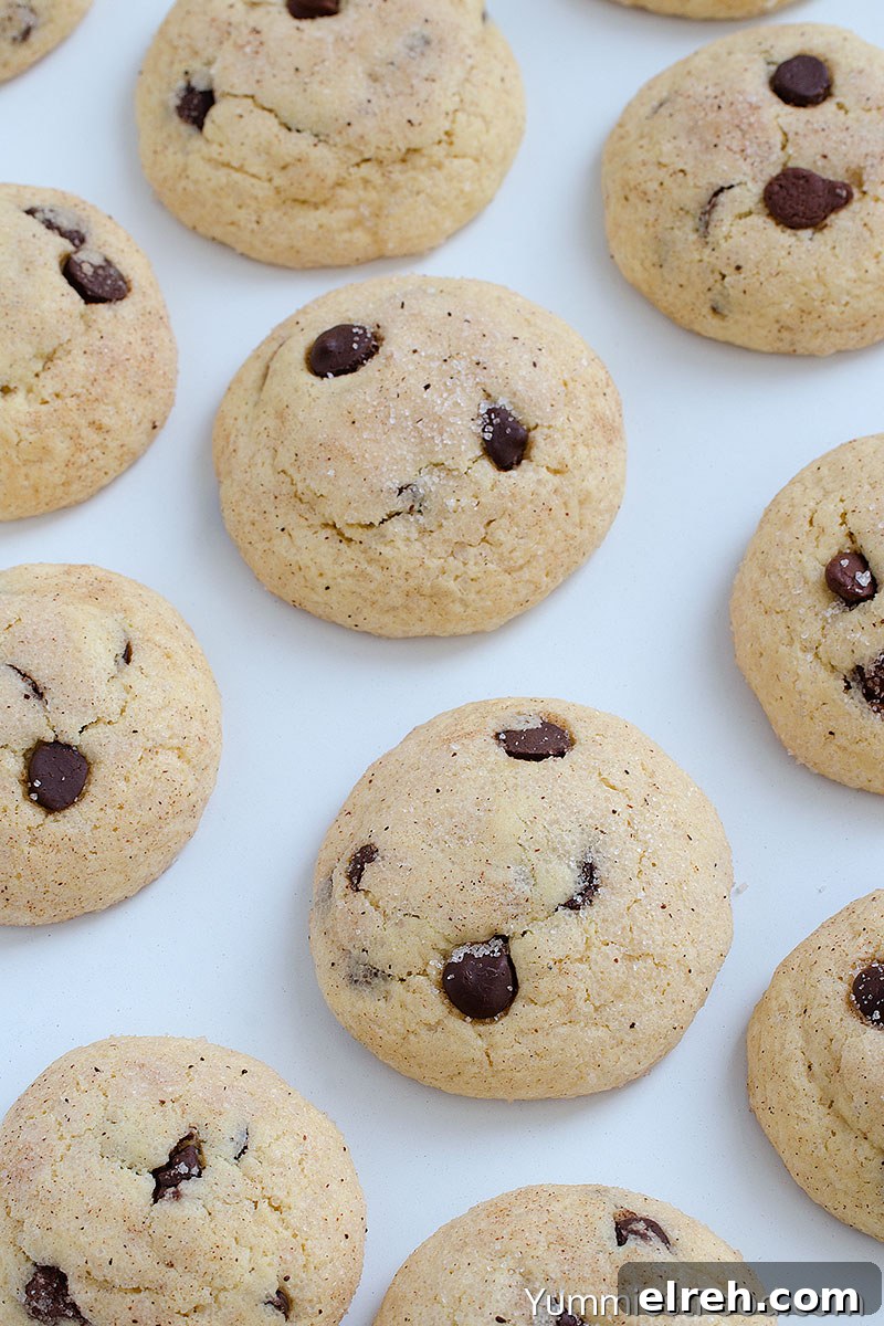 Chocolate Chip Snickerdoodle Cookie Recipe 3 Chocolate Chip Snikerdoodles at the table
