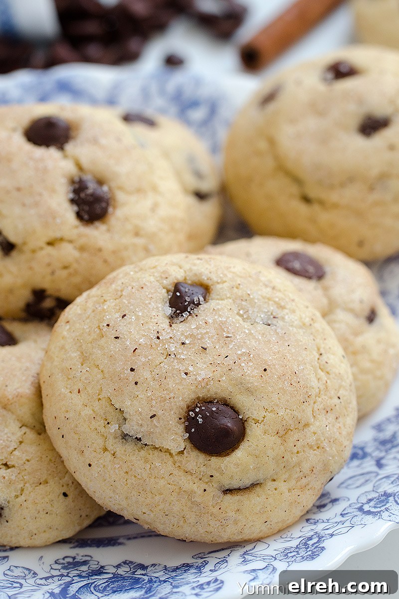 Chocolate Chip Snickerdoodle Cookie Recipe 4 Chocolate Chip Snikerdoodles served on the plate