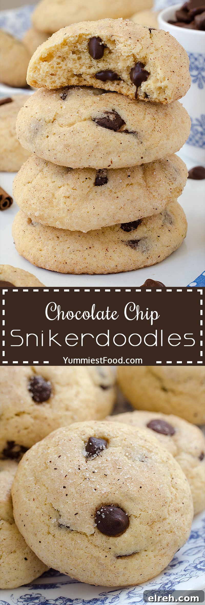Chocolate Chip Snickerdoodle Cookie Recipe 9 Chewy and fluffy Chocolate Chip Snikerdoodles brimming with that classic chocolate chip and cinnamon flavor