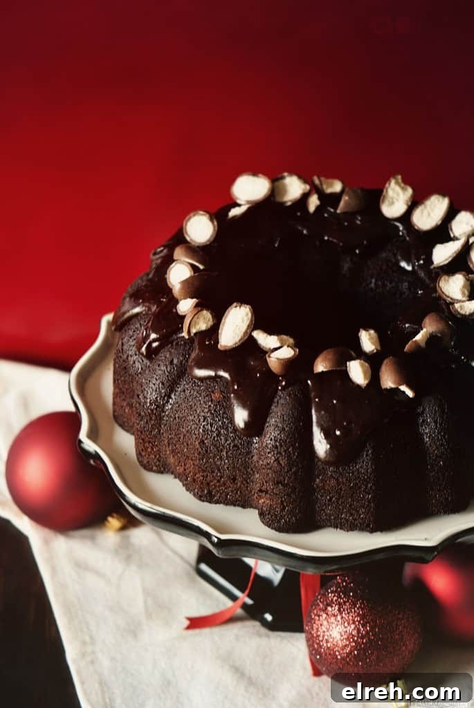 Malted_Chocolated_Cake_0182 Finished chocolate Bundt cake with glaze