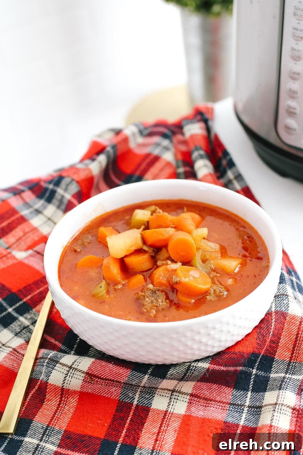 Instant Pot Hamburger Soup with Ground Beef and Vegetables 2 instant pot hamburger soup