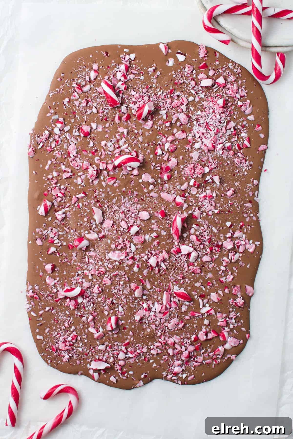 Chocolate Bark just assembled, and in one piece surrounded by some candy canes.