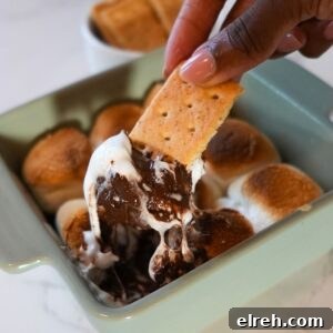 Air fryer s'mores dip served with graham crackers