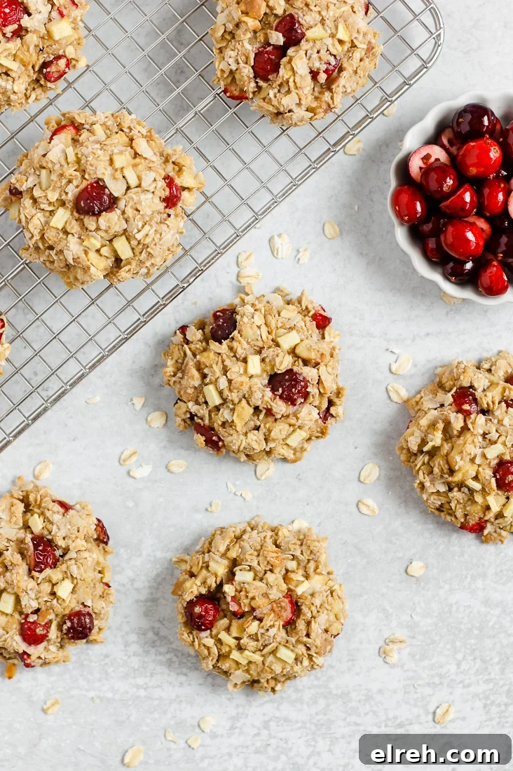 Cranberry Apple Breakfast Cookies Recipe 2 cranberry apple breakfast cookies on cooling rack