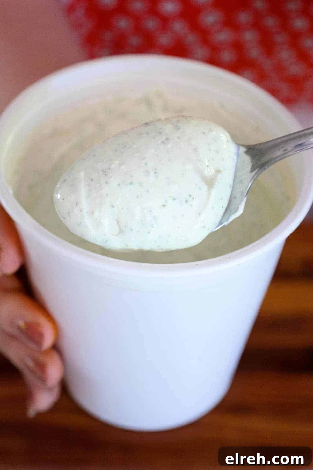 A spoonful of thick and creamy cottage cheese ranch dip that has been blended until smooth.