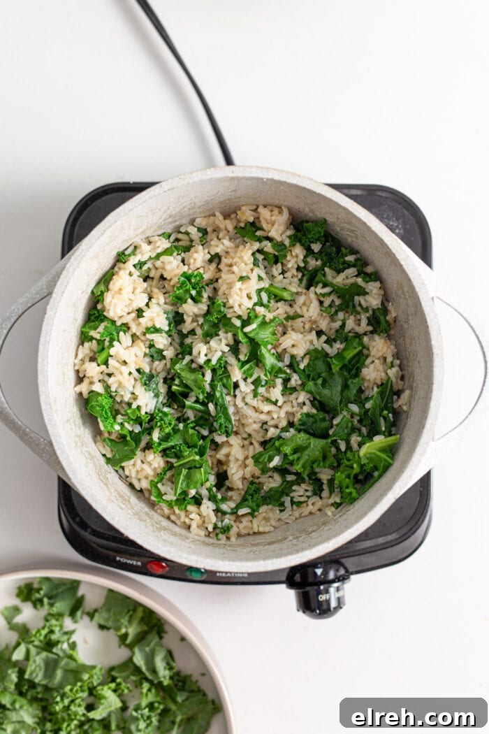 Pot of rice and kale cooking on a hot plate.