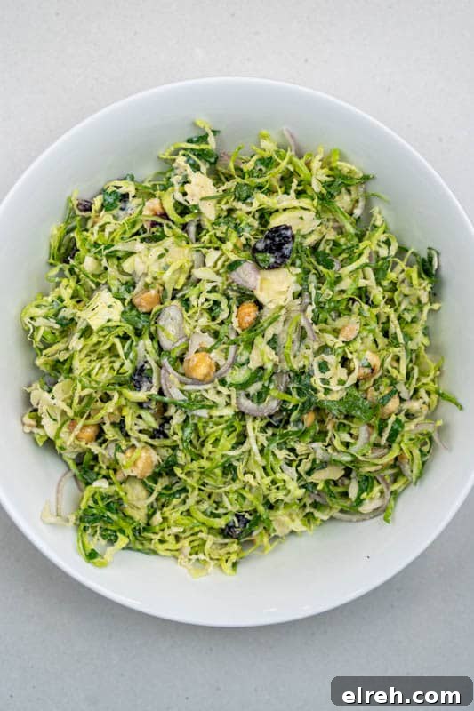 Shaved Brussels Sprouts Salad with Cranberries and Hazelnuts 2 Brussels Sprout Salad