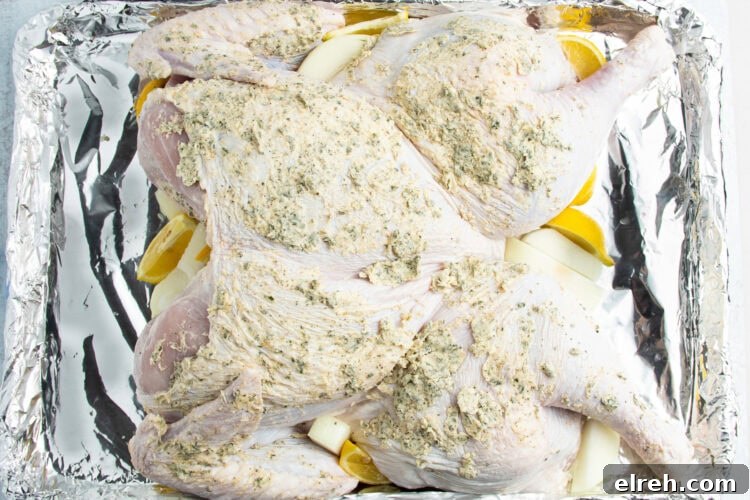 Overhead view of a spatchcocked turkey covered in compound butter resting in an aluminum disposable pan lined with foil.