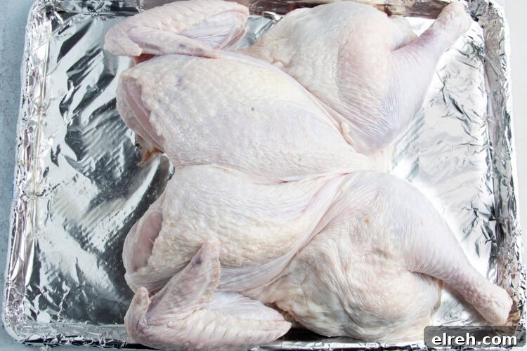 Overhead view of the breast-side of a spatchcocked turkey resting on a baking sheet wrapped in aluminum foil.
