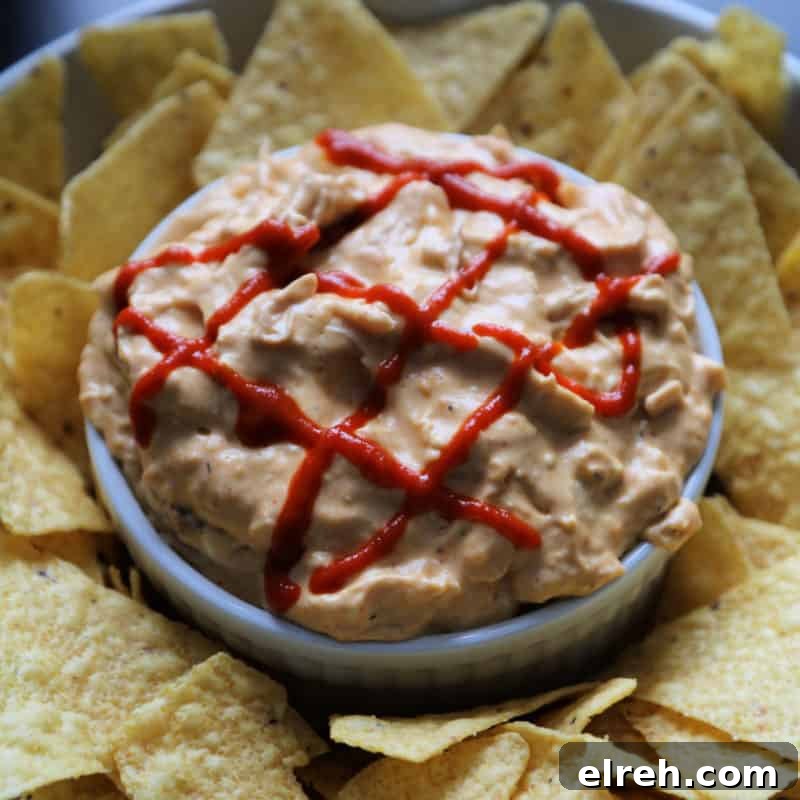 Celery Recipes Fresh Ideas for What to Make with Celery 16 Sriracha garnish on sriracha chicken dip in a white bowl surrounded by tortilla chips