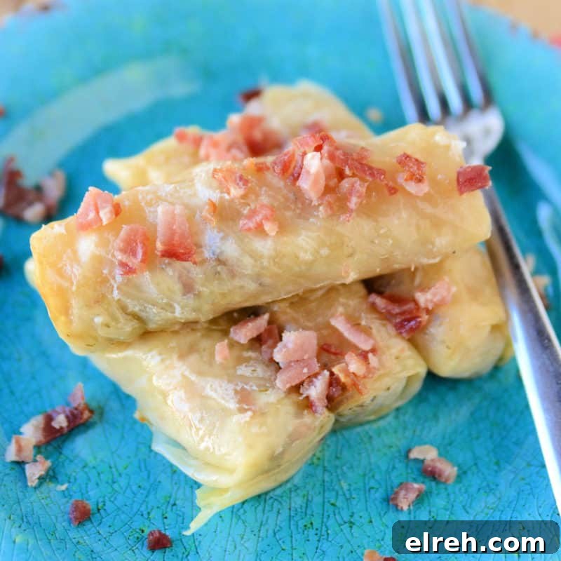 Celery Recipes Fresh Ideas for What to Make with Celery 17 Cabbage rolls garnished with bacon on a blue plate next to a silver fork