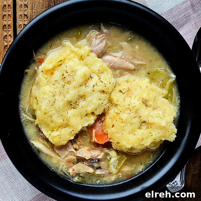 Celery Recipes Fresh Ideas for What to Make with Celery 25 Crockpot chicken and dumplings in a dark bowl next to a spoon