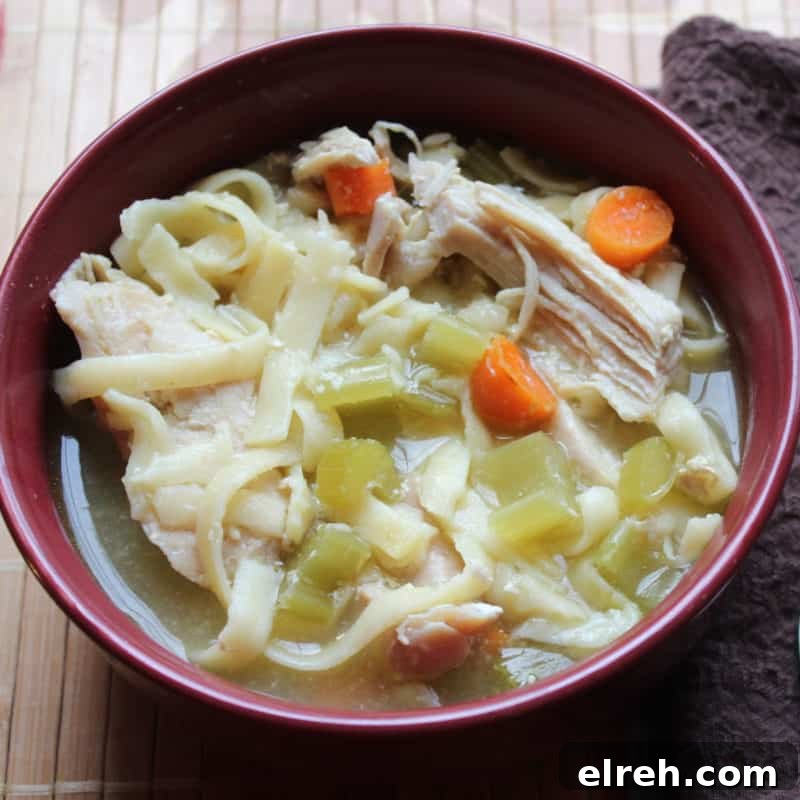 Celery Recipes Fresh Ideas for What to Make with Celery 9 Crockpot chicken noodle soup with noodles, chicken, carrots, and celery in a red bowl