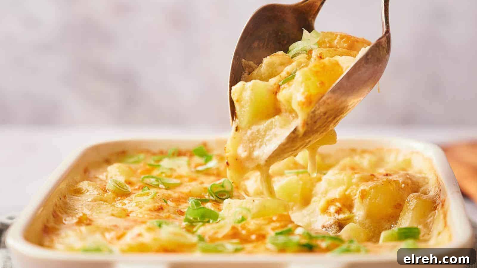 Potato Casserole being served.