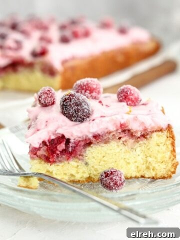 Cranberry Christmas cake.