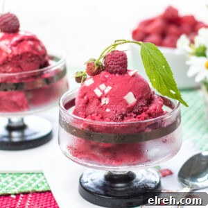 Karen's Raspberry Sherbet with White Chocolate Shavings