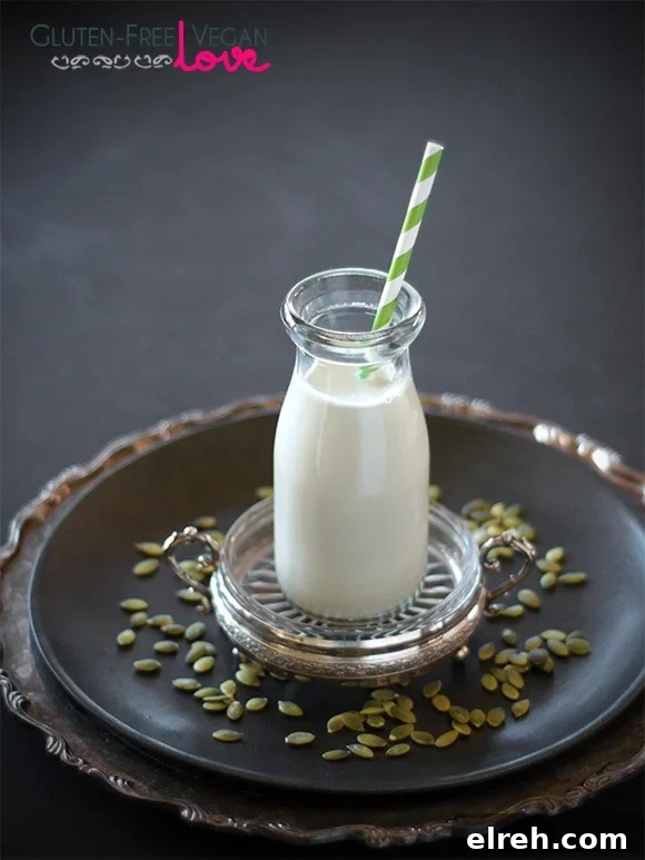pumpkin seed milk -- homemade recipe