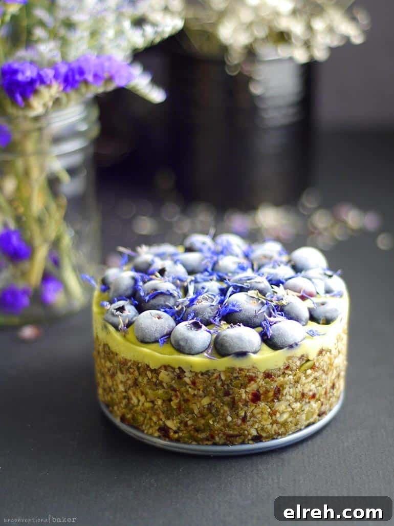 Raw Berry Lime Cheesecake (Free From: nuts, dairy, gluten & grains, added oil, and refined sugar)
