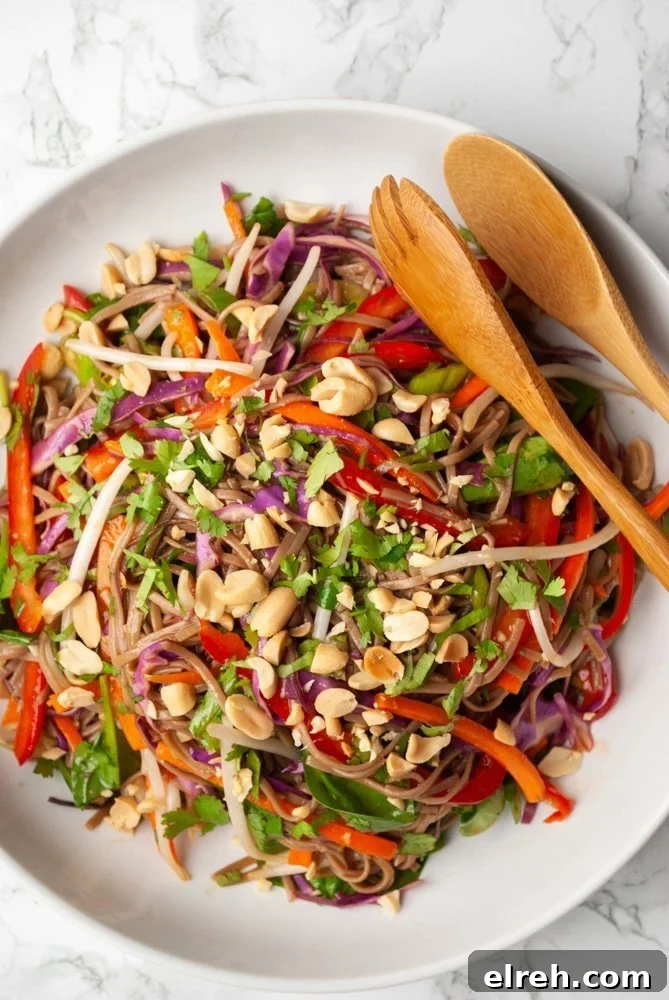 a topdown view of a big bowl of Thai noodle salad