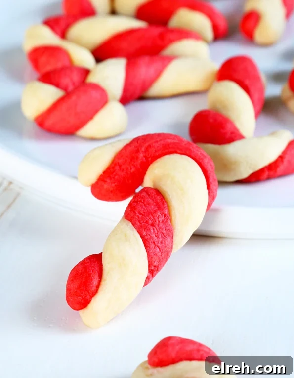A close up of a candy cane sugar cookie on white surface 