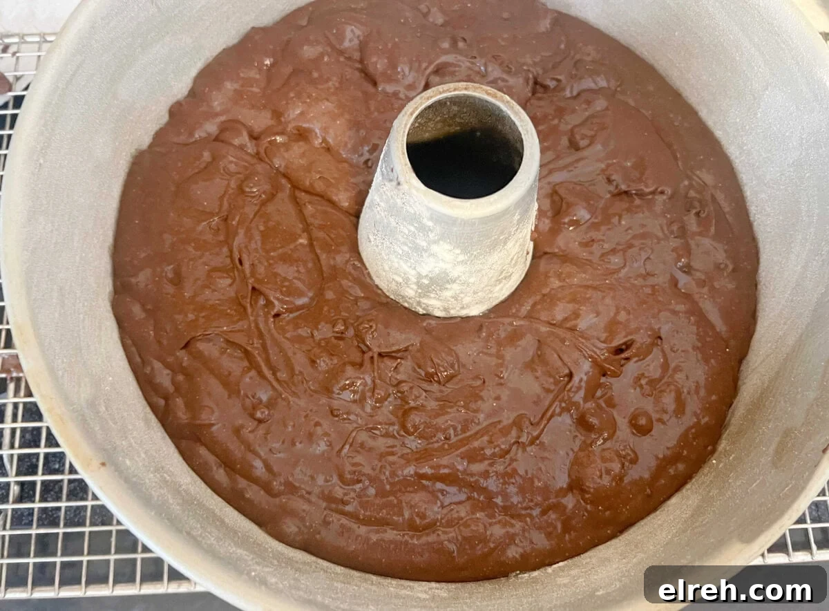 Chocolate Brownie Bundt Cake Recipe 3 Brownie Bundt Cake Batter in pan.
