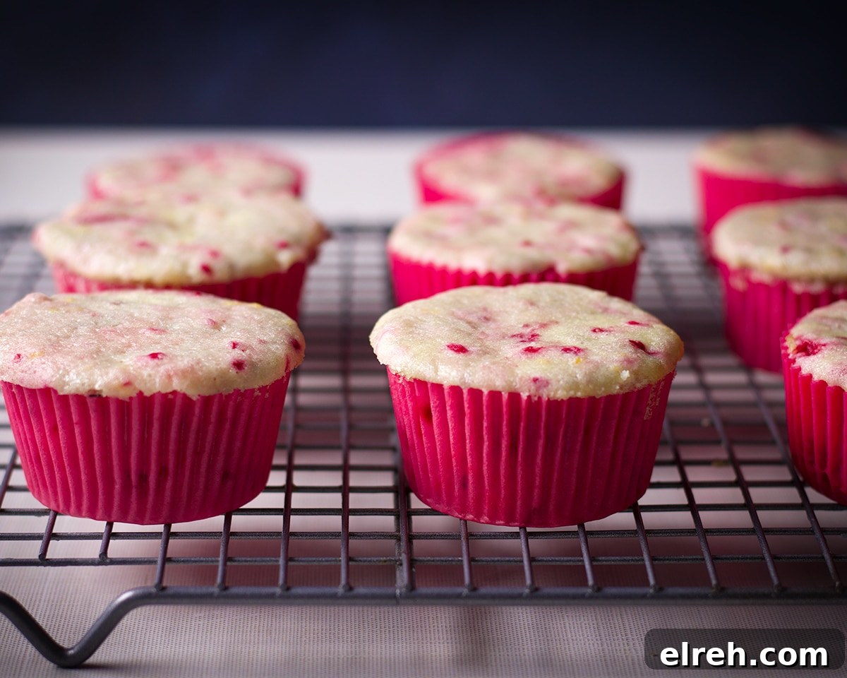 Raspberry Cupcakes Recipe with Cream Cheese Frosting 18 Freshly baked raspberry cupcakes cooling on a wire baking rack.