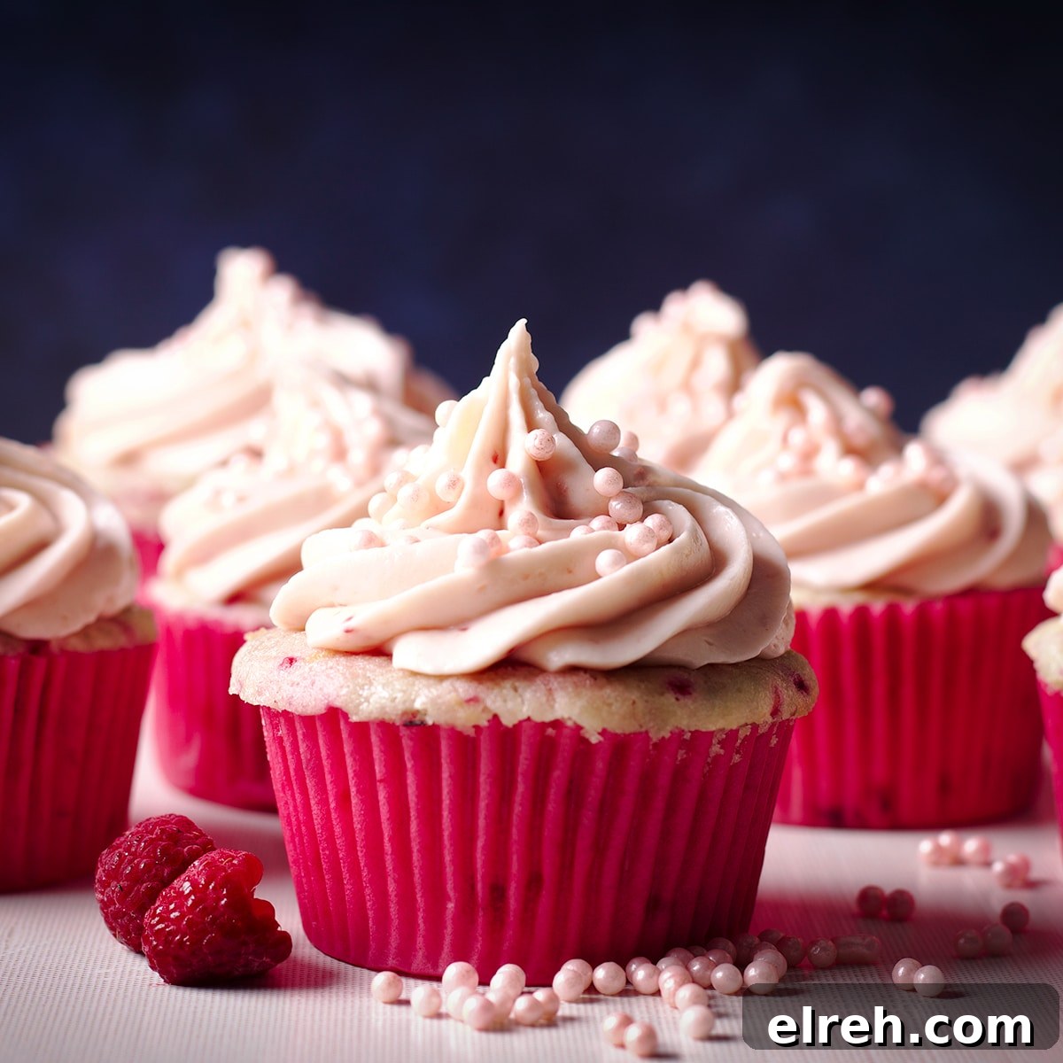 Raspberry Cupcakes Recipe with Cream Cheese Frosting 20 Several raspberry cupcakes topped with a swirl of raspberry cream cheese buttercream.