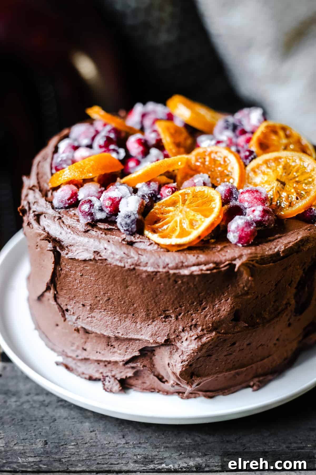 Caramelized Candied Orange Slices Recipe 10 Chocolate Cranberry Clementine Cake on a white plate on a wooden board