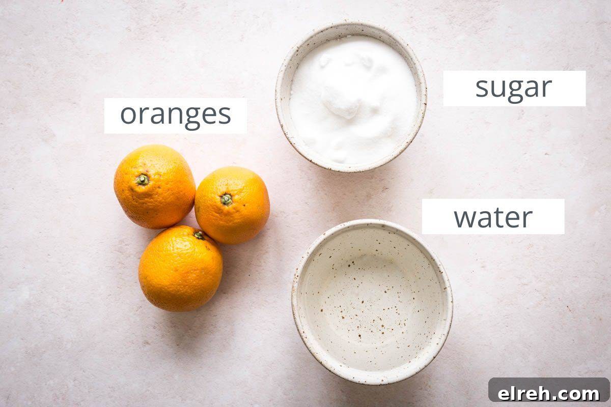 Caramelized Candied Orange Slices Recipe 4 Ingredients for Candied Orange Slices