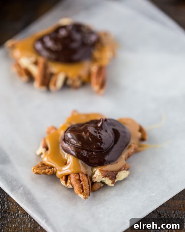 Turtle Candy