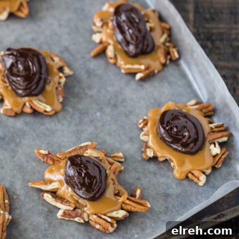 Turtle Candy