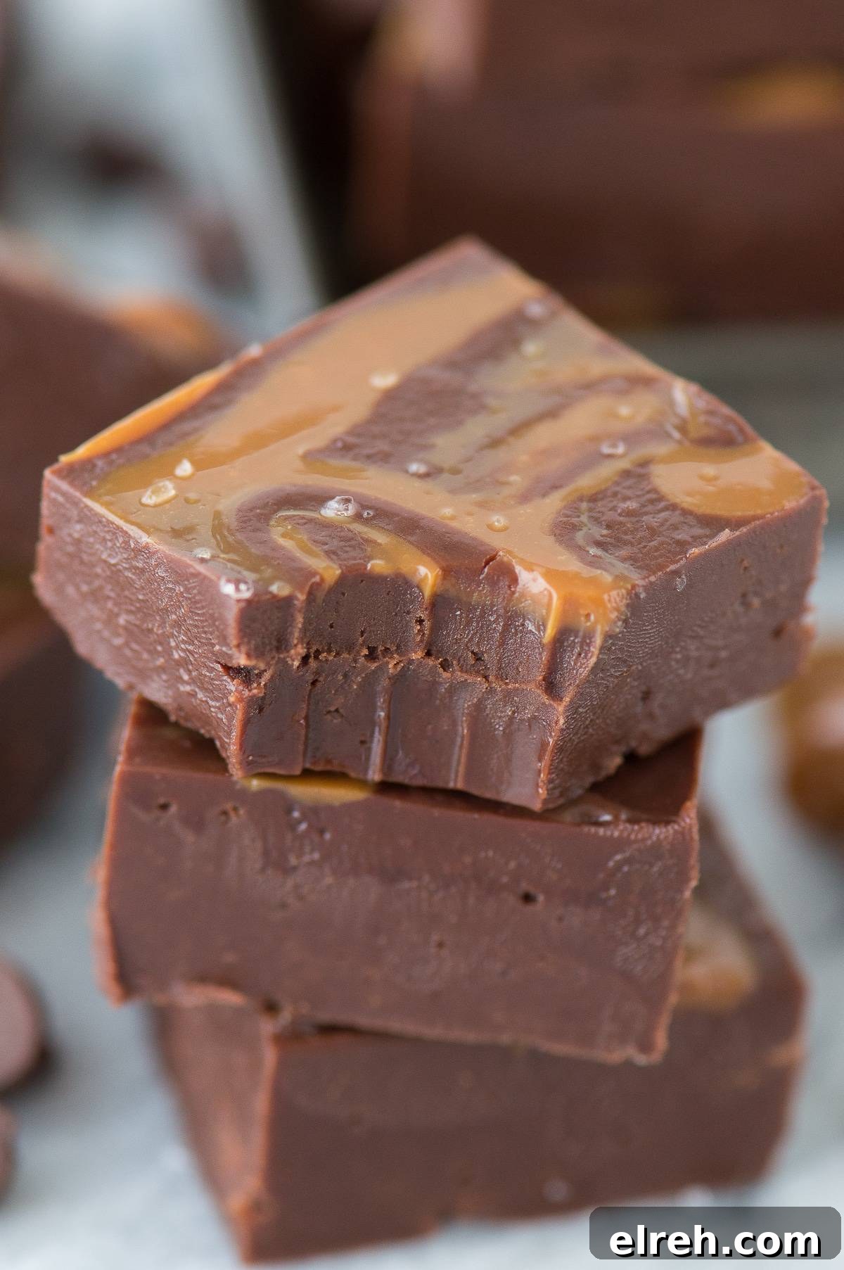 Salted caramel mocha fudge topped with dulce de leche swirls