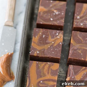 Salted caramel mocha fudge with dulce de leche swirls