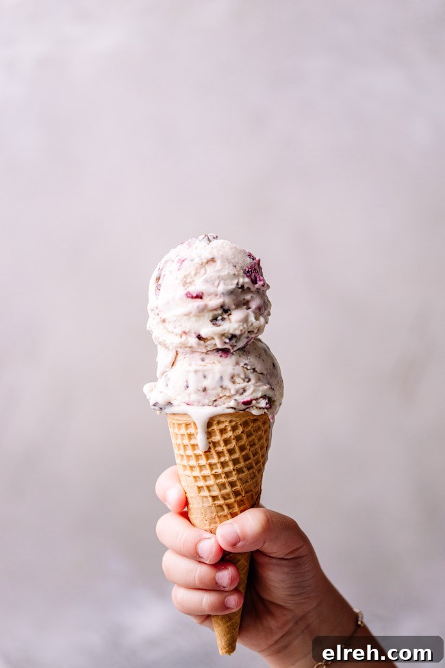 Scoops of cherry chocolate ice cream with chocolate chunks